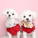 아루스튜디오 이미지