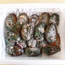 완도전복 이미지