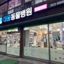 농협중앙회 앞 삼거리 이미지