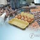 정찬욱농장 이미지