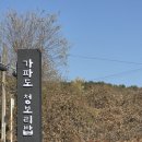 고매로43번길 | 용인 가파도 청보리밥 메뉴 주차 대기시간 아이랑 솔직후기