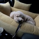 이마트24 R서순천IC점 이미지