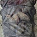 성호1좌대 이미지