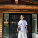 쨍하고해뜰날 이미지