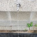 식수대 옆 이미지