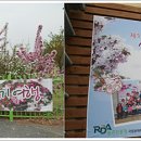 사과꽃향기 이미지