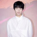 애니 이미지