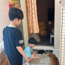 야옹이보드카페