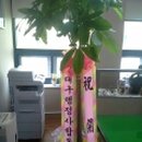 진영 행정사 사무소 이미지