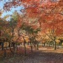 🌸젊었을 때는 인생이 긴 것으로 생각하나 이미지