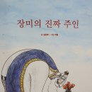 책읽는의자