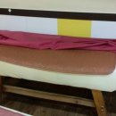 황제쑥뜸기 이미지