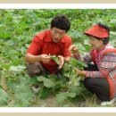 숲마을농원 이미지