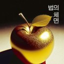 도덕행복의원 | 법의 체면 - 도진기