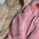 댕실댕실 이미지