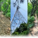 산 아래 이미지