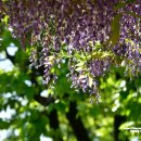 사회복지법인 여수애양병원 이미지