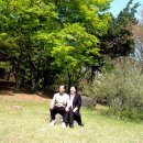 이상구 Daum카페