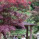 하늘펜션2 이미지