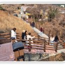 몽돌힐링 이미지