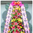 오사 식품