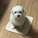 부흥로173번길 이미지