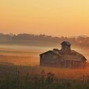 안성목장 이미지