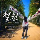 백마 | 백마고지 기념관 후기 철원 가볼만한곳, 백마고지 전투 역사 정리