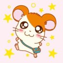 쓰리스타 이미지