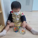스콜라몬테소리포항 이미지