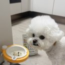 로즈그레이스 이미지