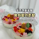 [성인][원데이클래스] 새해맞이 캔들만들기 | [청주원데이클래스] 용암동 청주 캔들 공방 만들기체험 봄의향기춘향