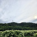 쌍용마을입구