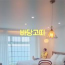 바당고띠 이미지