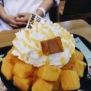 레시피아임