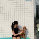 차홍룸 양재점 정연주 부원장님 열펌 내돈내산 후기