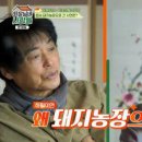 우리돈농장 이미지