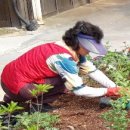 텃밭협동조합 이미지