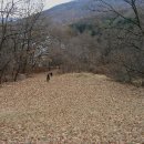 이애와 경신 공주 묘 이미지