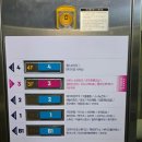 (주)밀레펫 서수원점 | [수원 아이랑 가볼만한곳] 영통 망포역 판타지움 바운스 슈퍼파크 배틀컴뱃 초등학생 내돈내산 후기