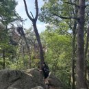 북한산유아숲체험장 화장실 이미지