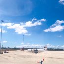 만송슈퍼 | 세부자유여행 팬퍼시픽항공 인천공항 새벽 탑승후기!