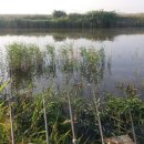 덕수농장 이미지