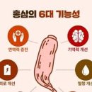 홍삼의 효능 이미지