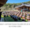 장흥청태전 영농조합법인 이미지
