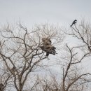 예산농장 이미지