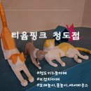 티윰핑크 청도점 내돈내산 후기 [대구근교 키즈존 카페]