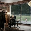 못된 강아지 이미지