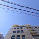 남부순환로333길 13 이미지