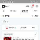 망고와 체리